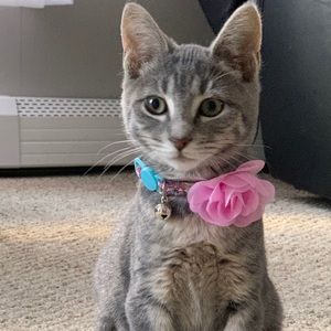 Meet your Posher, Christina